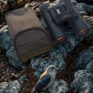 12x30 Binoculars